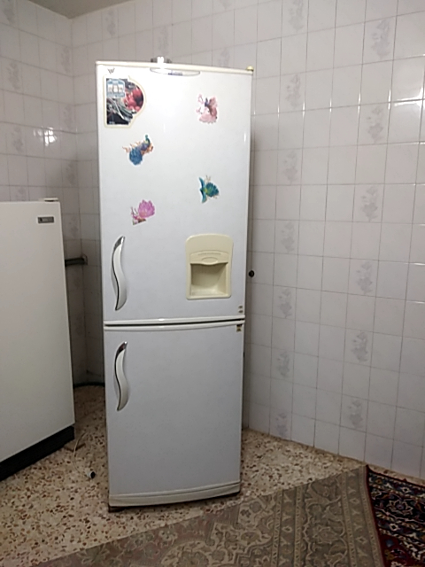 نمونه کار تعمیر یخچال الکترو استیل در اصفهان
