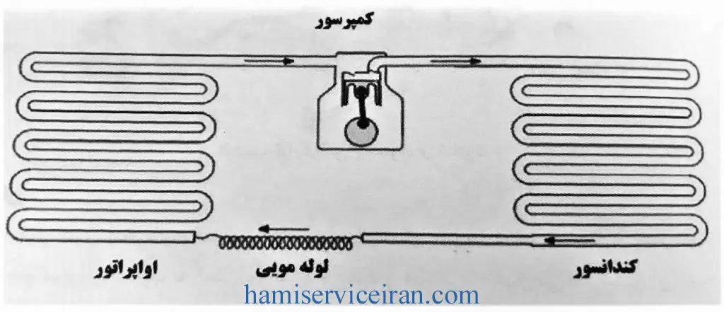 ساختار و عملکرد لوله مویی