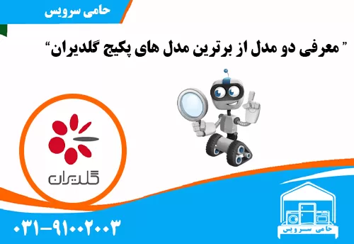 برترین مدل های پکیج گلدیران
